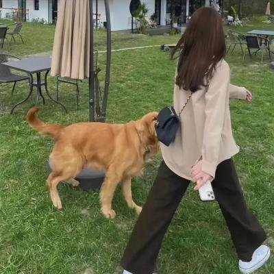 撒旦遇见淑女